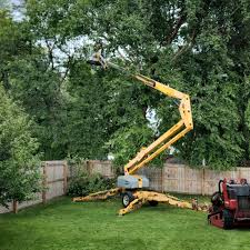 Best Lawn Disease Treatment  in Valdosta, GA