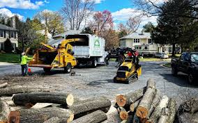Best Commercial Tree Services  in Valdosta, GA