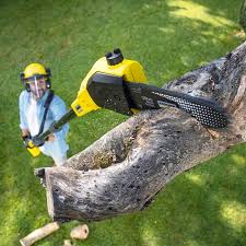Best Grass Overseeding  in Valdosta, GA