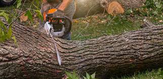 Best Lawn Irrigation Installation and Maintenance  in Valdosta, GA